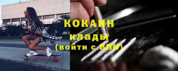 стаф Вязьма