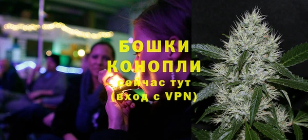 сатива Володарск