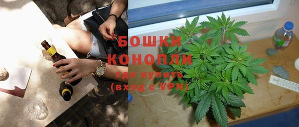 сатива Володарск