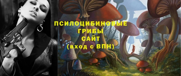 стаф Вязьма
