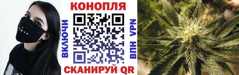Каннабис ГИДРОПОН Жуков